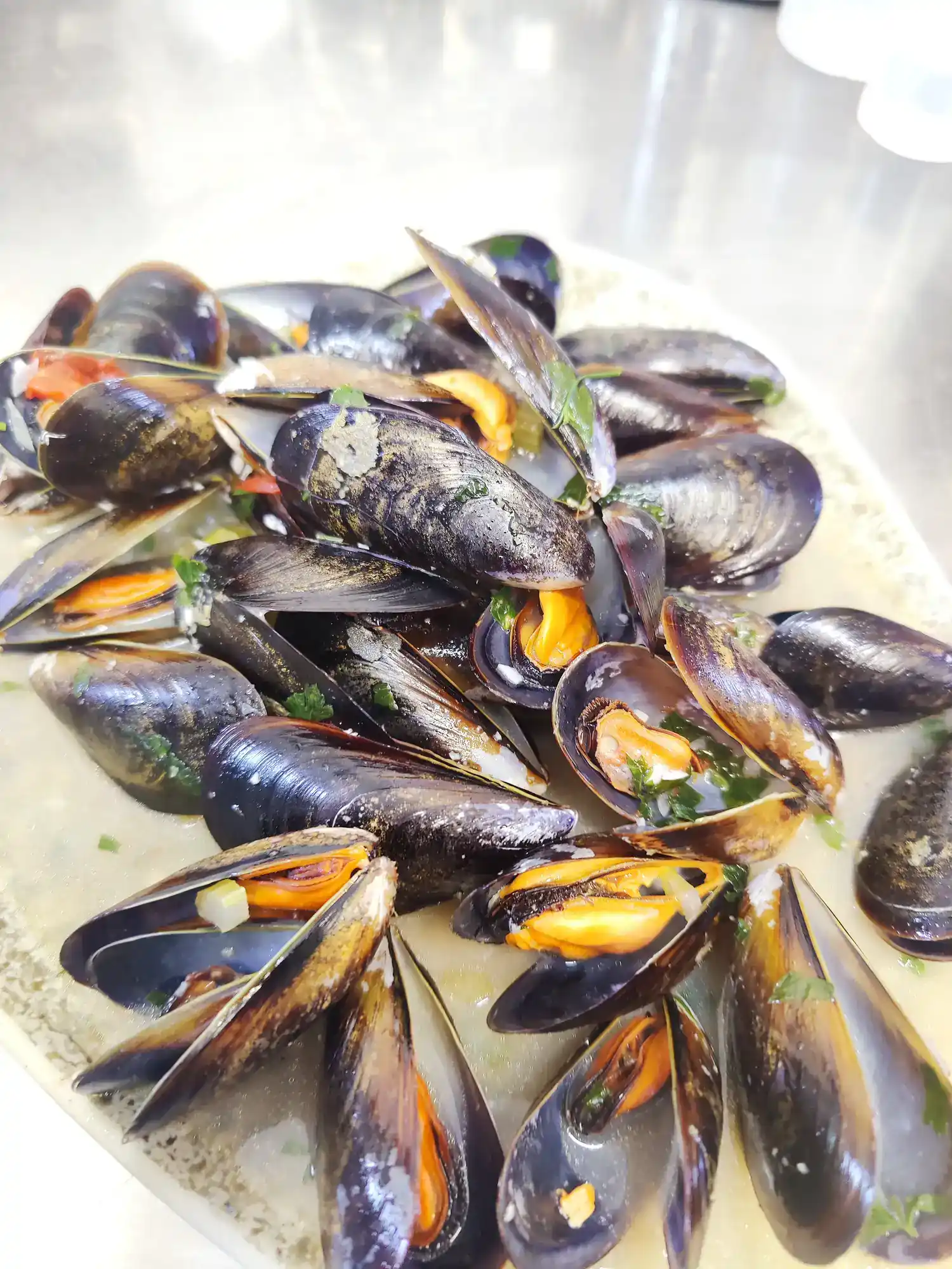 @T:alt_mussels